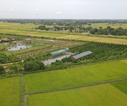 4 Chính chủ cần bán gấp trang trại lợn tại nông cống, thanh hoá 4 Chính chủ cần bán gấp trang trại lợn tại nông cống, thanh hoá