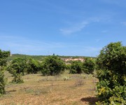 1 3,756m2 đất trồng điều, cách thị trấn và QL1A 1,5km