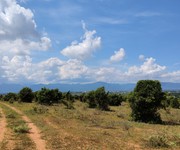2 3,756m2 đất trồng điều, cách thị trấn và QL1A 1,5km