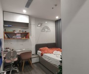 5 Quỹ căn ngoại giao phân khu The Zenpark đẹp nhất bảng hàng view hồ cá koi, vườn nhật tại VHOP