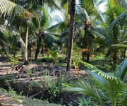 Bán đất vườn dừa bến tre mỏ cày Nam