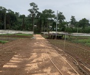 6 Đất Bắc Sơn Cực Ngợp