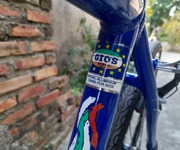 3 Bán xe đạp thể thao Touring GIOS thương hiệu Ý