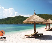 3 Biệt thự  tại phước hải nha trang bán