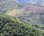 Chuyển nhượng 1700ha đất rừng kết hợp vùng nguyên liệu sx tại hòa bình.