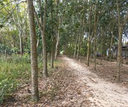 479 Cho Thuê Văn phòng / Kinh doanh