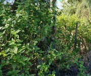 427 Cho Thuê Văn phòng / Kinh doanh