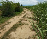 425 Cho Thuê Văn phòng / Kinh doanh