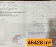 428 Cho Thuê Văn phòng / Kinh doanh