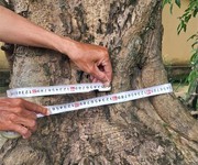 467 Cho Thuê Văn phòng / Kinh doanh