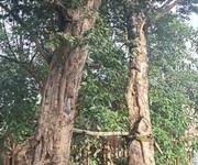 469 Cho Thuê Văn phòng / Kinh doanh