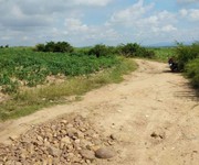 439 Cho Thuê Văn phòng / Kinh doanh