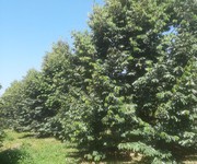 376 Cho Thuê Văn phòng / Kinh doanh