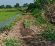 1103 Cho Thuê Văn phòng / Kinh doanh