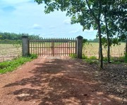 1091 Cho Thuê Văn phòng / Kinh doanh