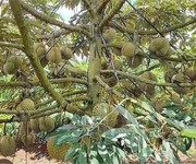 1071 Cho Thuê Văn phòng / Kinh doanh