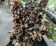 1053 Cho Thuê Văn phòng / Kinh doanh