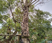 1049 Cho Thuê Văn phòng / Kinh doanh