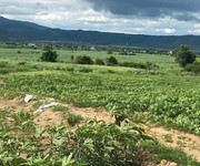 1047 Cho Thuê Văn phòng / Kinh doanh