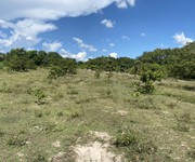 1077 Cho Thuê Văn phòng / Kinh doanh