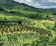 1065 Cho Thuê Văn phòng / Kinh doanh