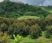 1068 Cho Thuê Văn phòng / Kinh doanh