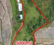 1279 Cho Thuê Văn phòng / Kinh doanh