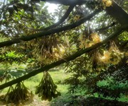 1096 Cho Thuê Văn phòng / Kinh doanh