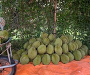 1097 Cho Thuê Văn phòng / Kinh doanh