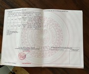 1098 Cho Thuê Văn phòng / Kinh doanh