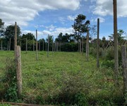 1295 Cho Thuê Văn phòng / Kinh doanh