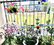 2555 Cho Thuê Văn phòng / Kinh doanh