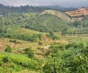 1762 Cho Thuê Văn phòng / Kinh doanh