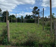 2006 Cho Thuê Văn phòng / Kinh doanh