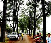 1793 Cho Thuê Văn phòng / Kinh doanh