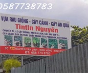 Qua năm về quê đầu tư, chính chủ cần sang nhượng cửa hàng bán cây kiểng, rau giống tại cơ sở 2.