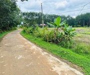 1 Nợ ngân hàng, cần bán gấp lô đất thổ cư ngang 10m giá 295 triệu