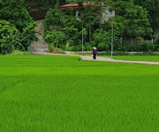 Bán mảnh đất vườn ở Phú Xuân, TP Thái Bình