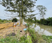 2 Hơn 1700m2 sầu riêng   Chanh không hạt đang cho trái. Cách Chợ Vàm Xáng 1,9km