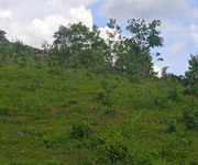 Bán đất rẫy tặng cây đất thuộc xã Kon Gang, huyện Đak Đoa, tỉnh Gia Lai 4ha giá chỉ 550 triệu