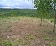 5 Bán đất rẫy tặng cây đất thuộc xã Kon Gang, huyện Đak Đoa, tỉnh Gia Lai 4ha giá chỉ 550 triệu