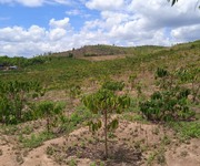 2 Bán đất rẫy tặng cây đất thuộc xã Kon Gang, huyện Đak Đoa, tỉnh Gia Lai 4ha giá chỉ 550 triệu