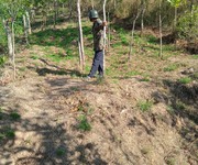 3 Bán đất rẫy tặng cây đất thuộc xã Kon Gang, huyện Đak Đoa, tỉnh Gia Lai 4ha giá chỉ 550 triệu