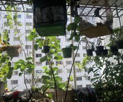 4 Định cư bán gấp căn hộ đường nguyễn văn linh chỉ có 2,75 tỷ nhà đẹp tặng full nội thất 105m2 , mua
