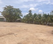 3 Cần bán 9155m2 đất - tổ 3 khu phố 2, phường phước bình, thị xã phước long, tỉnh bình 3 Cần bán 9155m2 đất - tổ 3 khu phố 2, phường phước bình, thị xã phước long, tỉnh bình