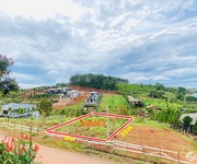 Cần tiền bán gấp lô view hồ ĐakLongThượng ở Bảo Lộc diện tích 200m2 sổ sẵn giá 320tr