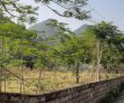 1 Cần bán đất khu du lịch cúc phương địa chỉ : xã cúc phương, huyện nho quan, ninh bình 1 Cần bán đất khu du lịch cúc phương địa chỉ : xã cúc phương, huyện nho quan, ninh bình