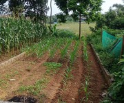 1 Chính chủ cần bán đất tại đất ở đồng trúc, thạch thất, hà nội