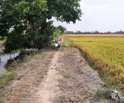 1 Bán gấp đất ruộng.