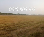2 Cần bán gấp 4 công đất ruộng kênh 4 - Châu Phú An Giang